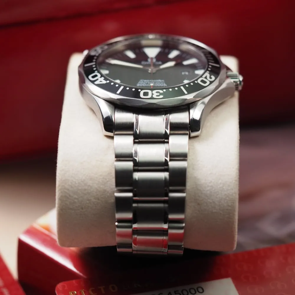 Omega Seamaster Professional 22645000 (2005)