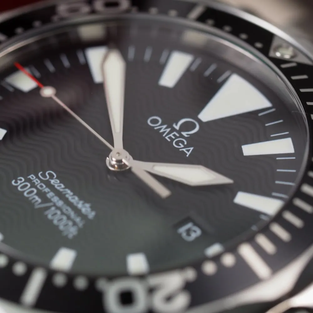 Omega Seamaster Professional 22645000 (2005)