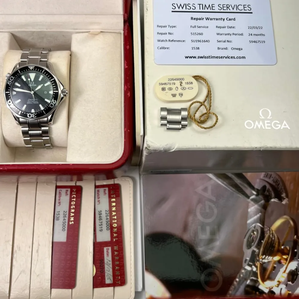 Omega Seamaster Professional 22645000 (2005)