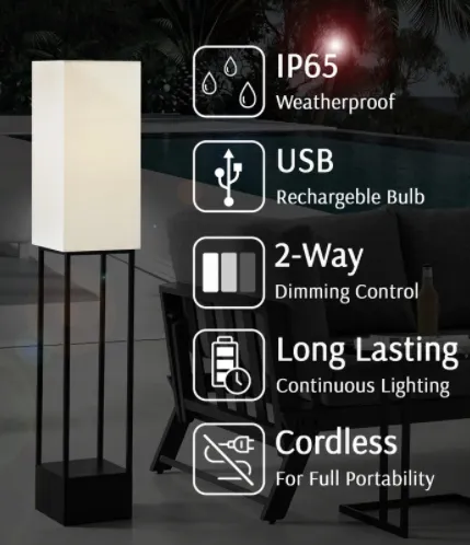 Quinlan Wireless Floor Lamp